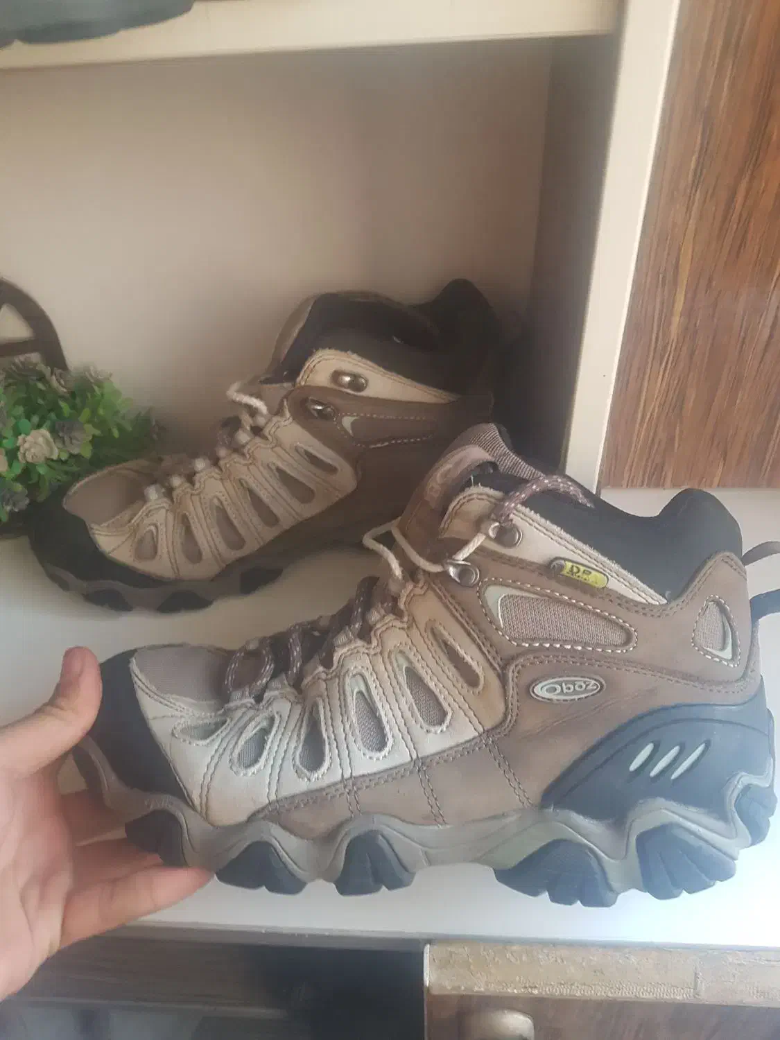 کفش های کوهنوردی نواصلی اورجینال زیر قیمت|کیف، کفش، کمربند|یاسوج, |دیوار