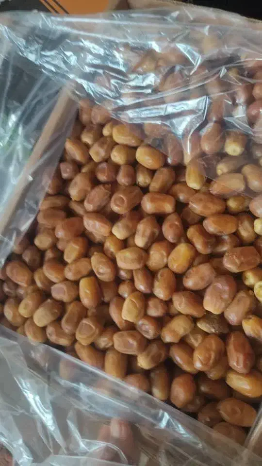 خرما زاهدی|خوردنی و آشامیدنی|تهران, شهرک چیتگر|دیوار