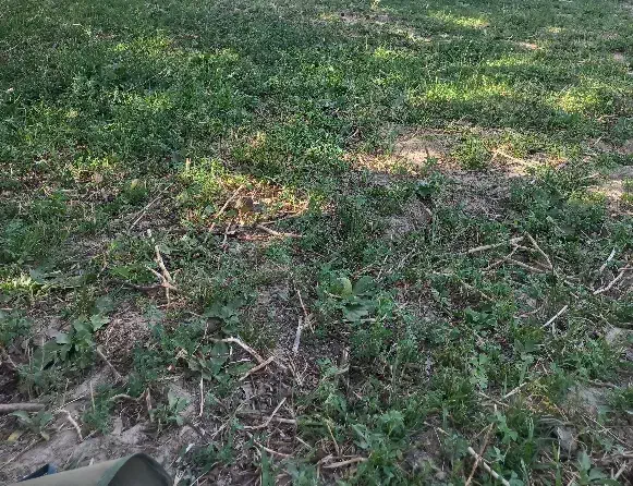 نگهبانی باغ|استخدام سرایداری و نظافت|ملایر, |دیوار