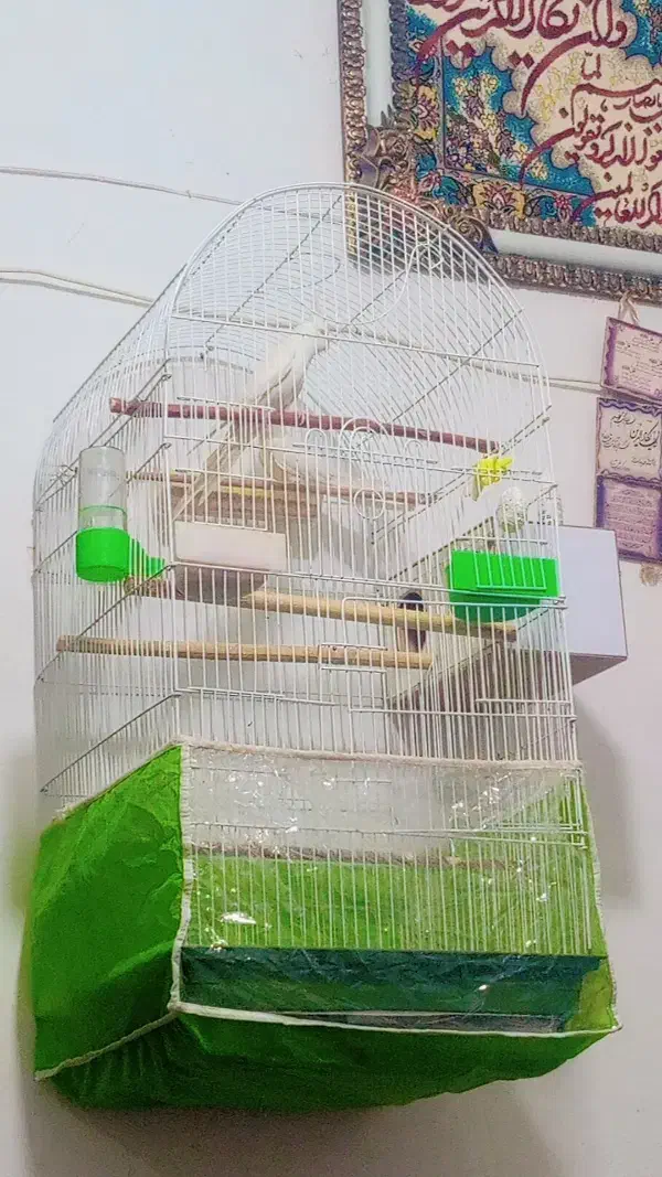 قفس کاسکویی سالم سالم.|لوازم جانبی حیوانات|تربت جام, جامی|دیوار
