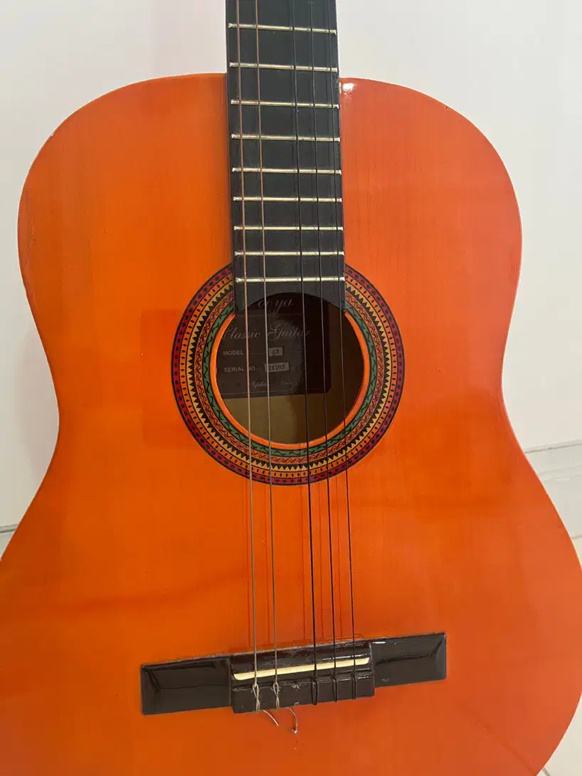 گیتار کلاسیک پویا مدلg3|گیتار، بیس، امپلیفایر|مبارکه, |دیوار