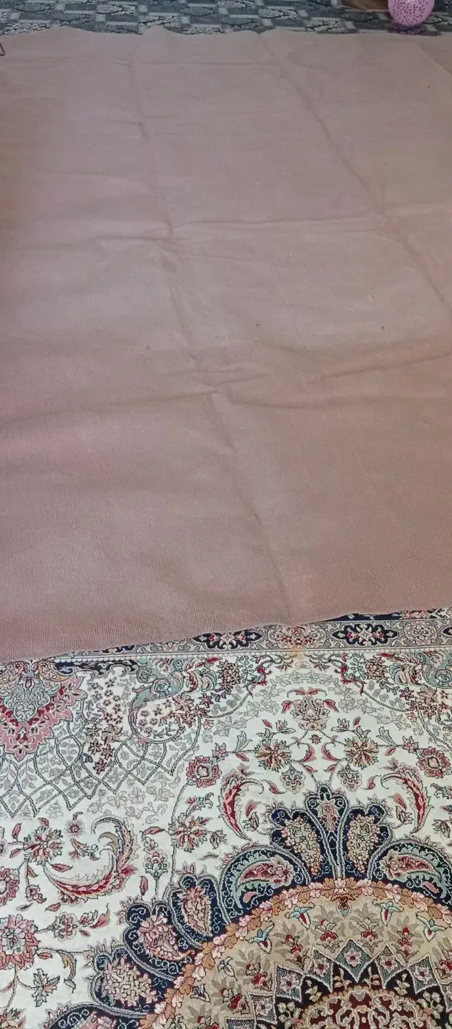 موکت|موکت|بجنورد, |دیوار