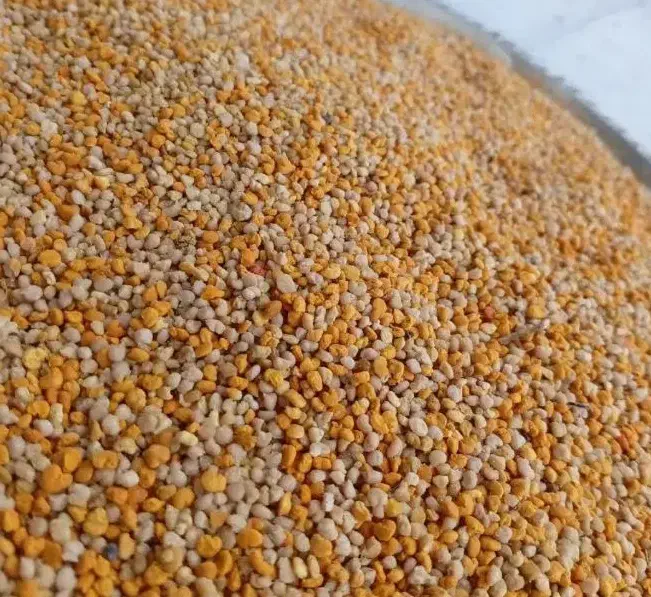 ژل رویال گرده شان موم طبیعی اصل|خوردنی و آشامیدنی|سبزوار, عظیمیان|دیوار