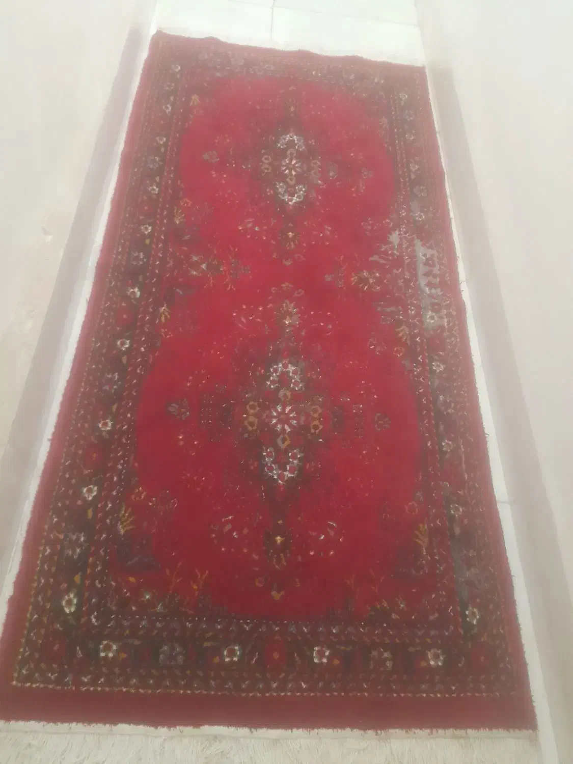 فرش|فرش|ارومیه, |دیوار