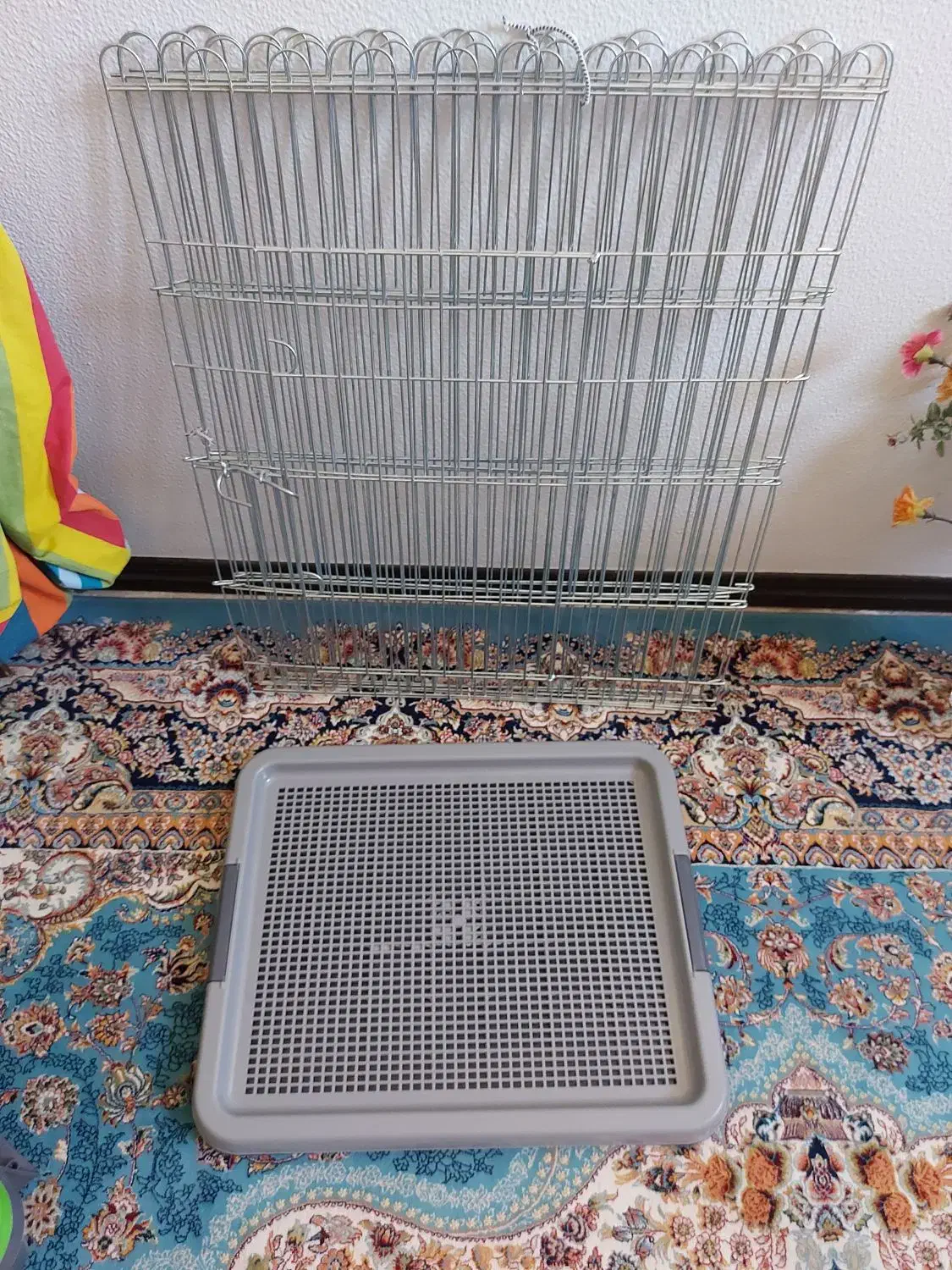 باکس پارک ماشین اصلاح ظرف دستشویی سگ گربه|لوازم جانبی حیوانات|شاهینشهر, ۹ دی|دیوار