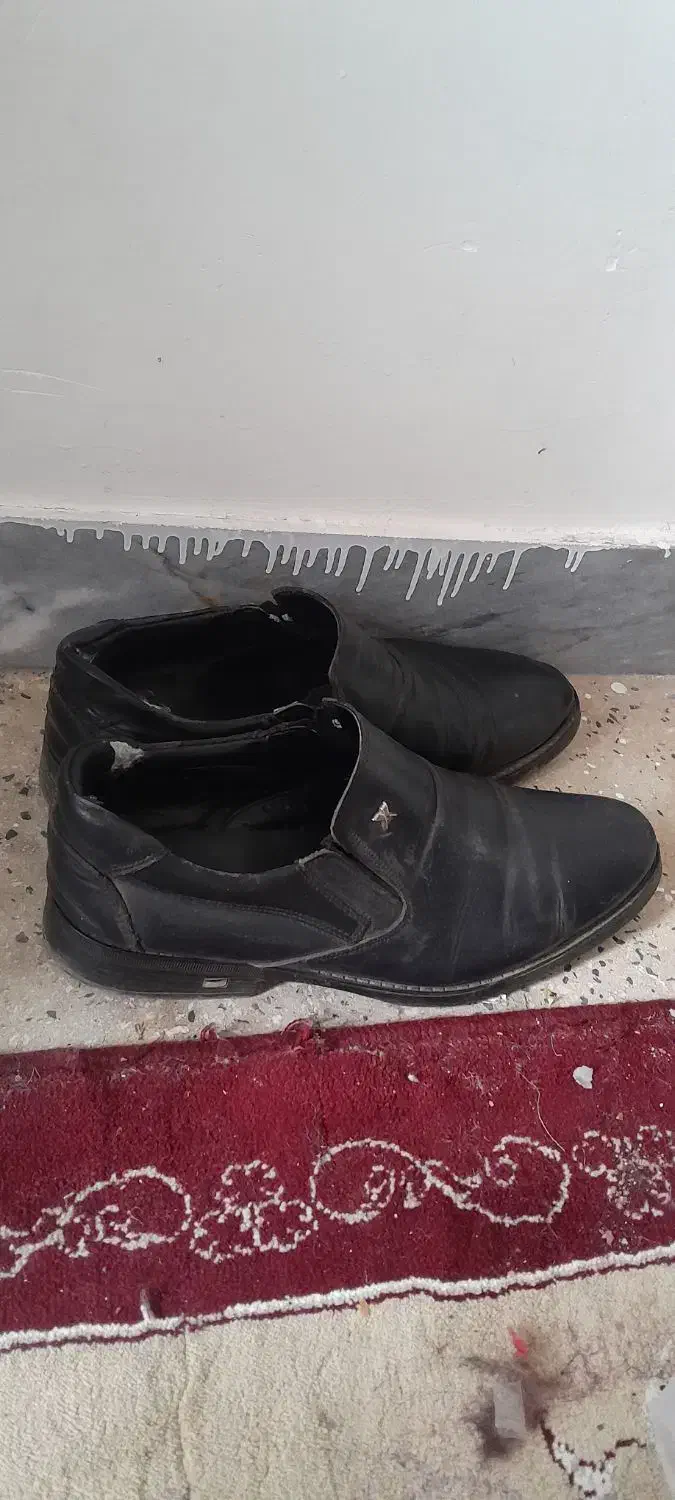 کفش ولباس|کیف، کفش، کمربند|نهاوند, |دیوار