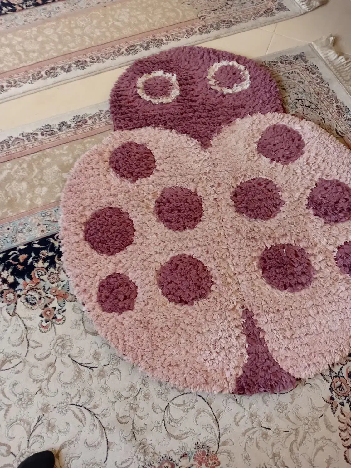 پادری کفشدوزک|پادری|شیراز, ارم|دیوار