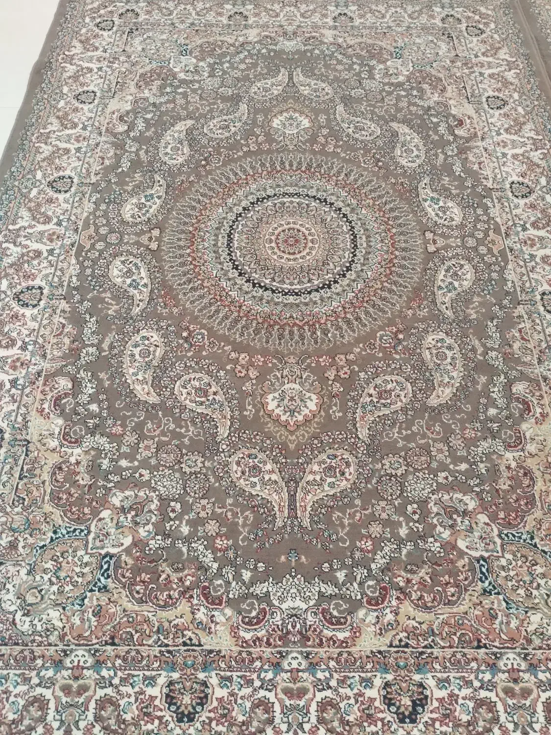 یک جفت فرش ۶ متری گردویی ضخیم پر تراکم در حد نو|فرش|هشتگرد, شهرک اداری|دیوار