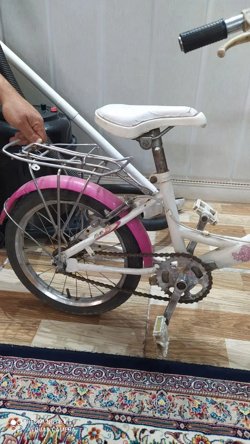 دوچرخه|دوچرخه، اسکیت، اسکوتر|قم, نخودی|دیوار