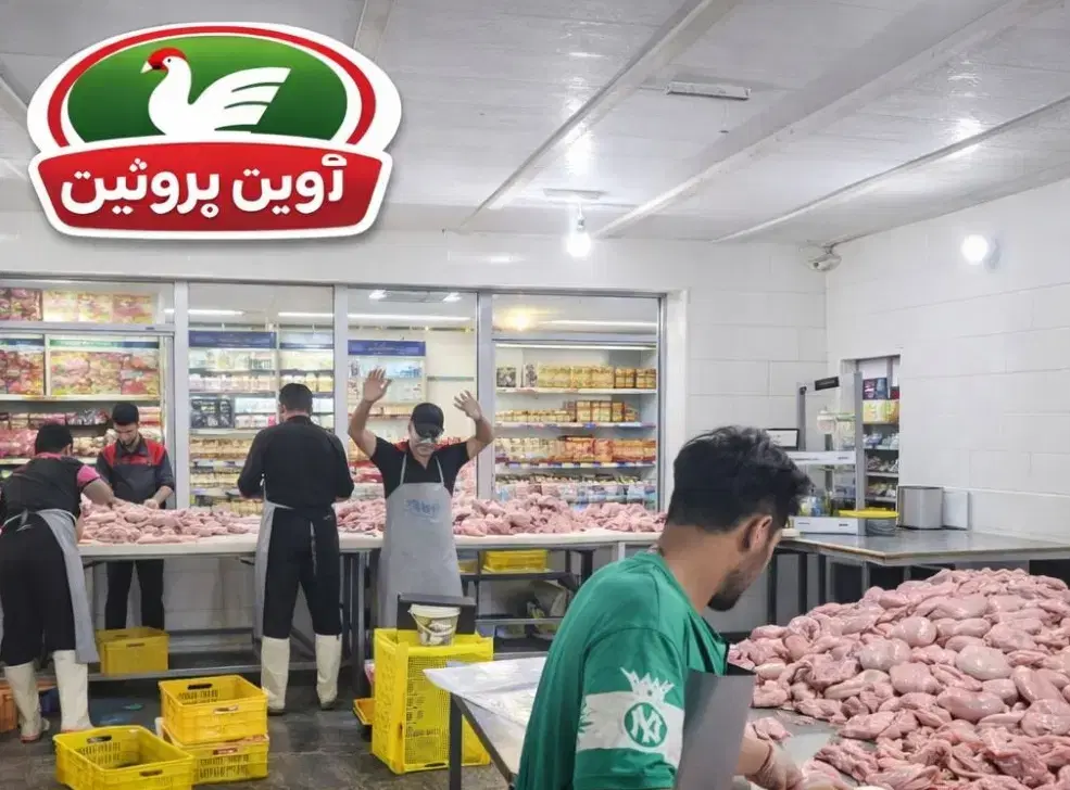 فروش مرغ واقلام قطعه بندی قیمت کف بازار تهران|عمدهفروشی|تهران, شمیراننو|دیوار