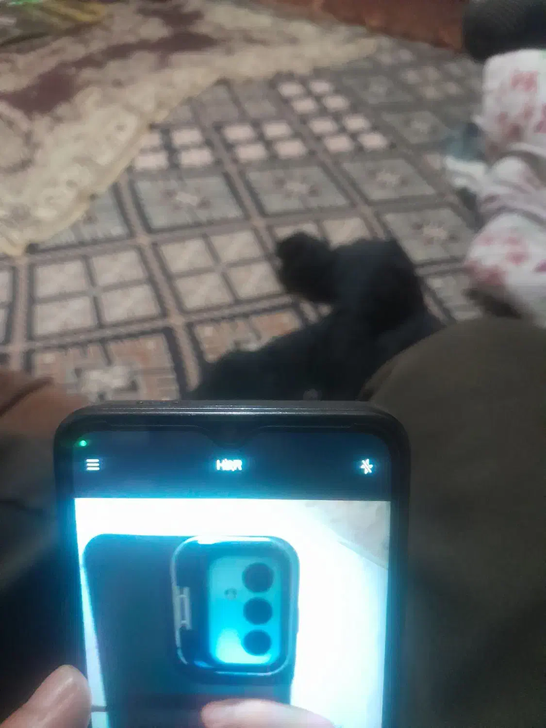 گوشیM13|موبایل|نرماشیر, |دیوار