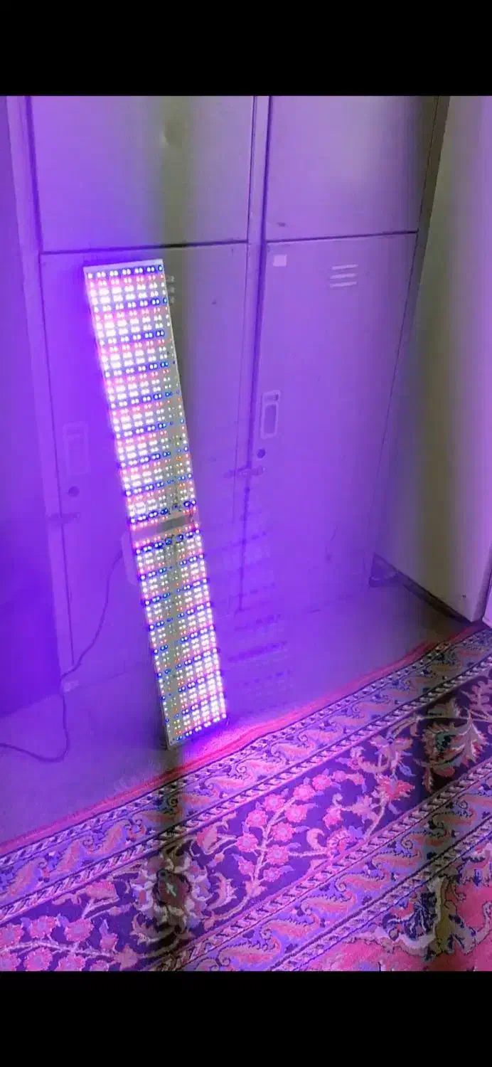 پنل رشد گیاه( مخصوص) دو عدد|لامپ و چراغ|تهران, منیریه|دیوار