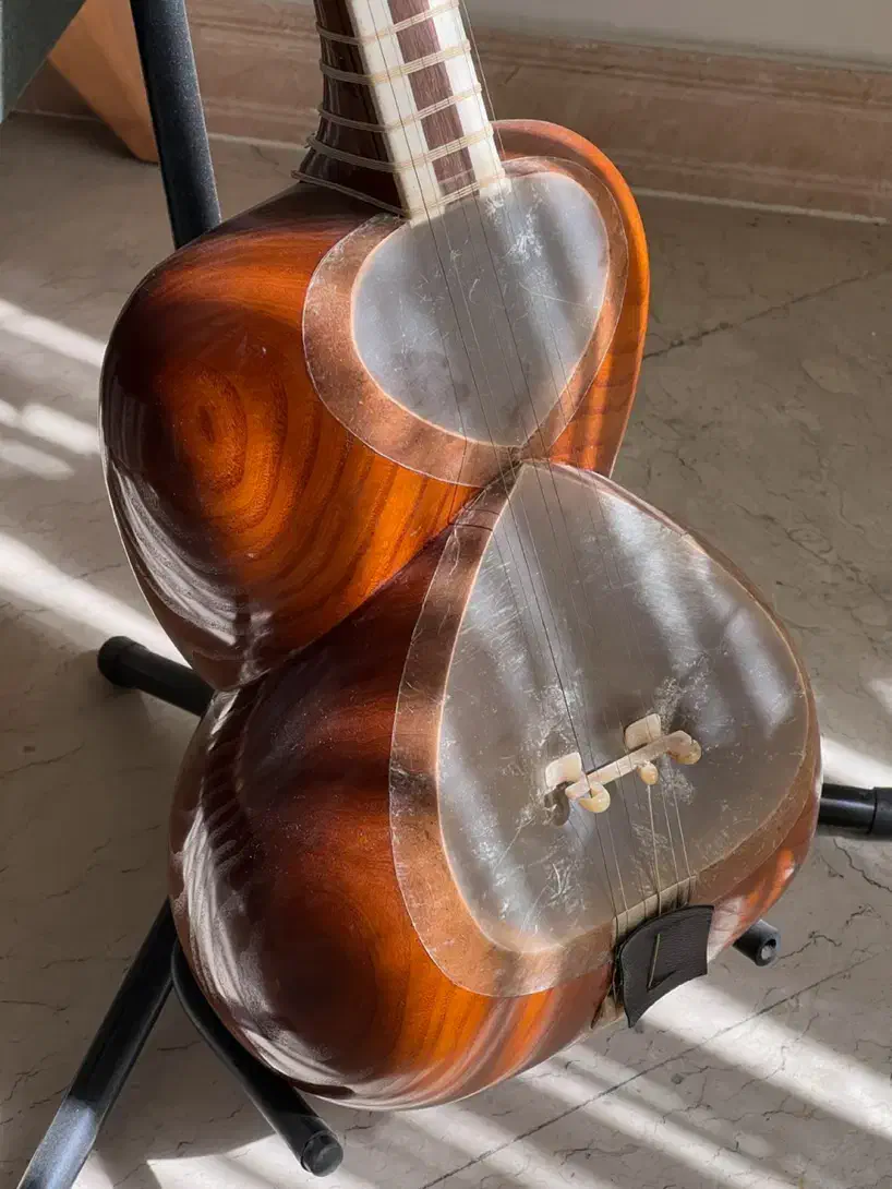 تار جلیل صالحی|سازهای سنتی|تهران, بهار|دیوار