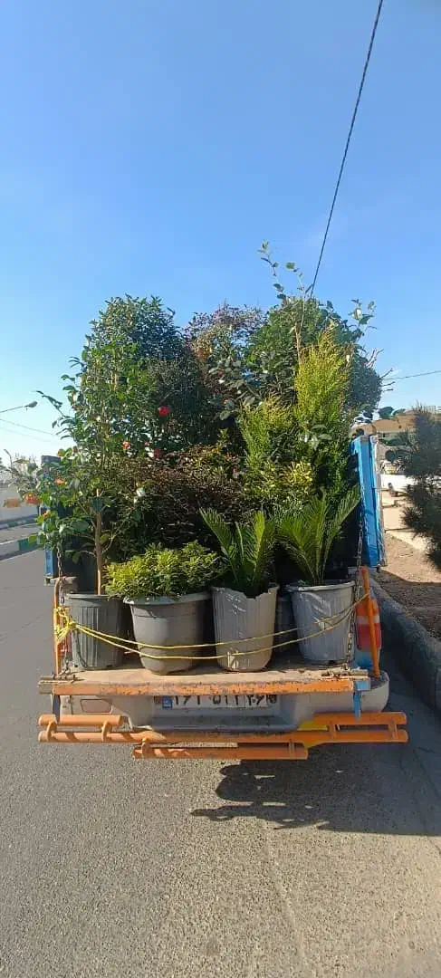 خدمات باغبانی باغچه کاری کاشت گل وگیاه باغبان سیار|خدمات باغبانی و درختکاری|تهران, قیطریه|دیوار