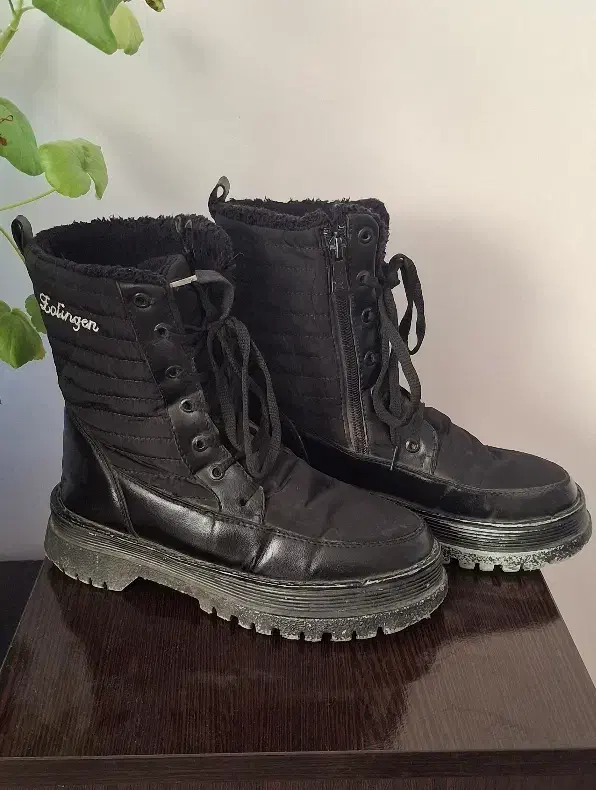 نیم بوت|کیف، کفش، کمربند|بروجرد, |دیوار