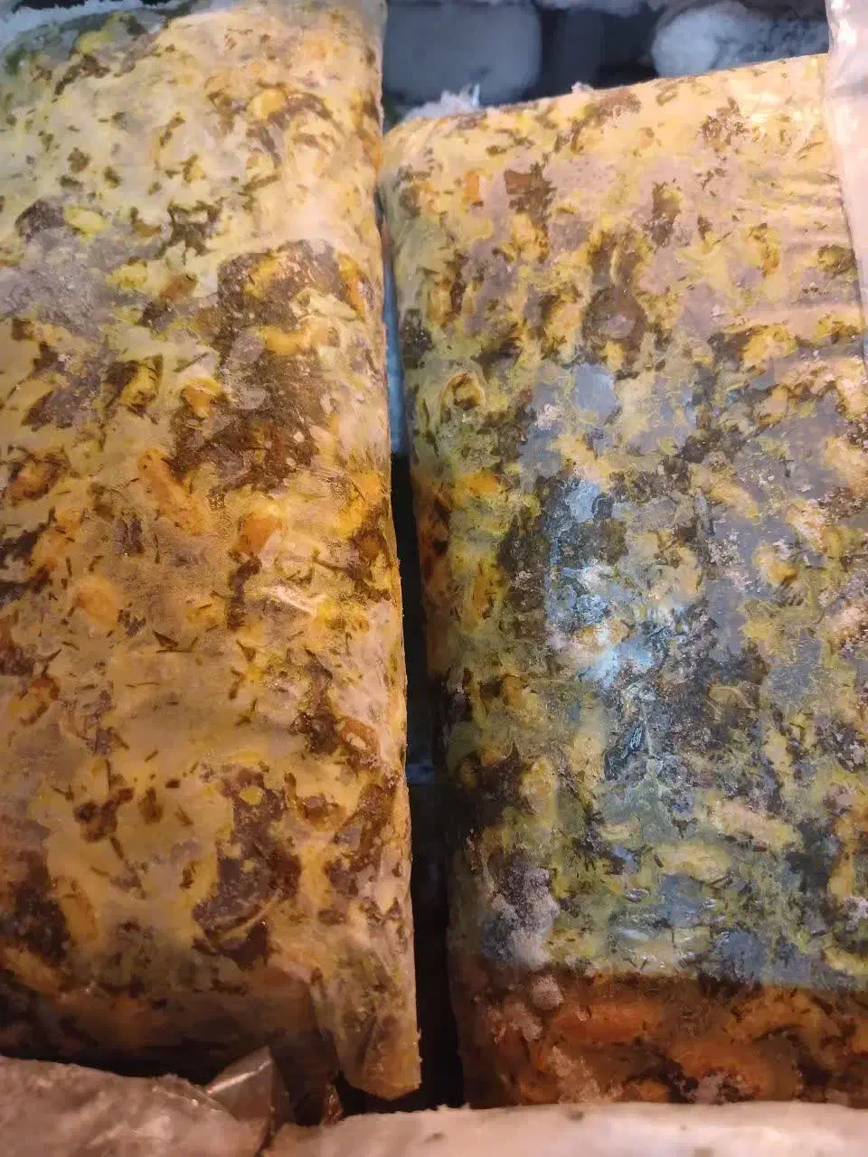 سبزی دستک|خوردنی و آشامیدنی|رشت, بازار|دیوار