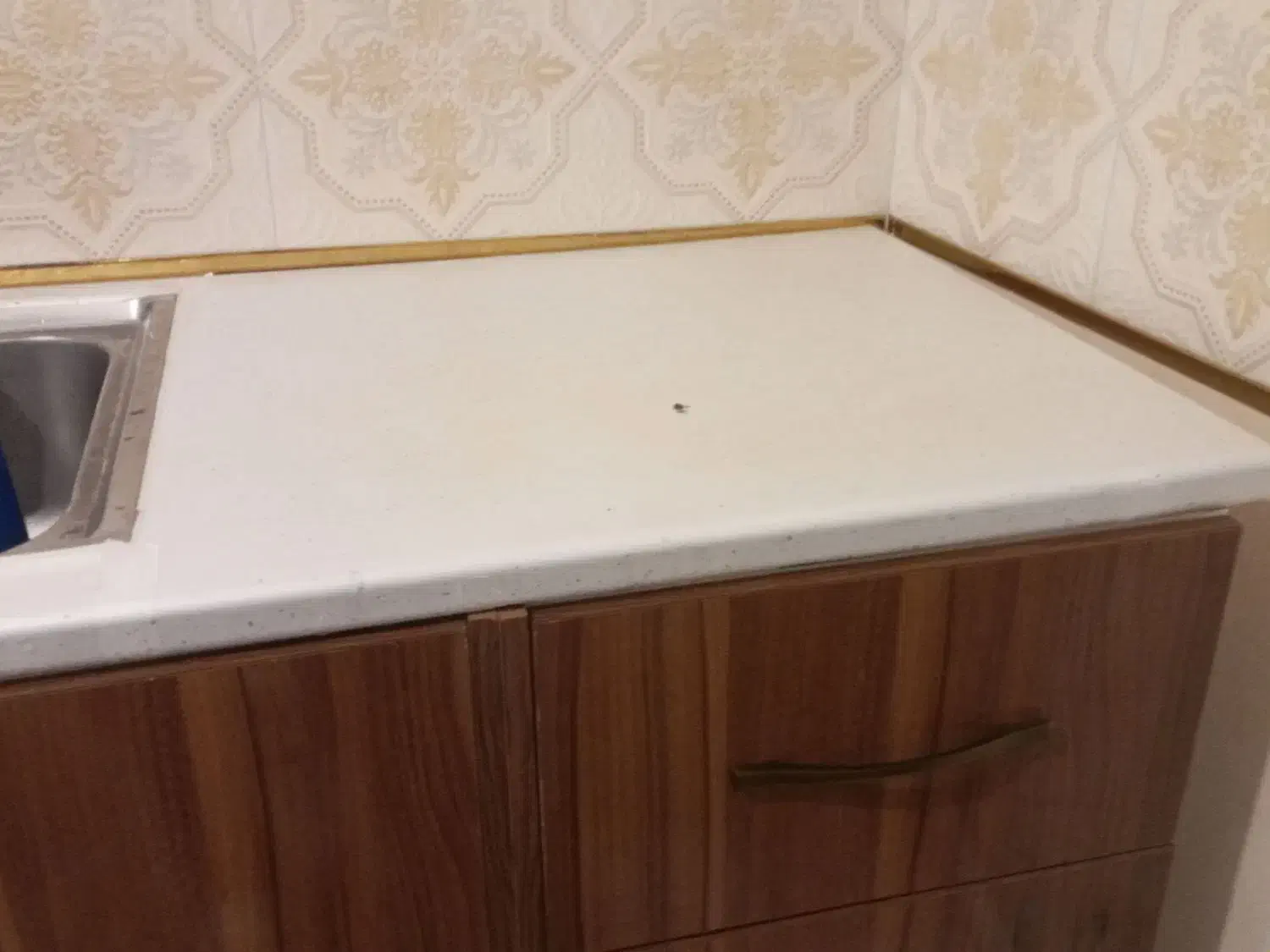 ابچکان ونیم دهنده‌ی ظروف|آب‌چکان و نظم‌دهنده ظروف|خلخال, |دیوار