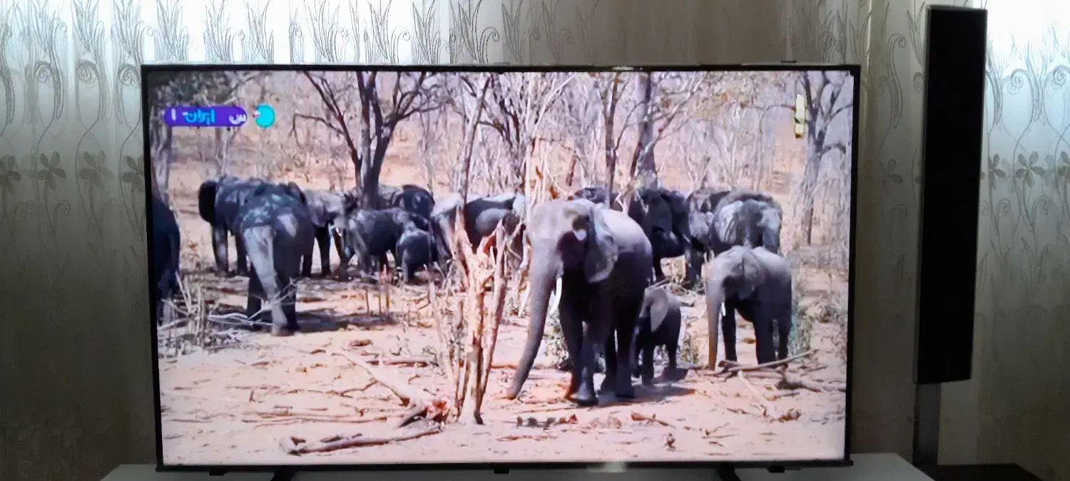 تلویزیون ۵۰ اینچ هوشمند سامسونگ|تلویزیون و پروژکتور|سراب, |دیوار