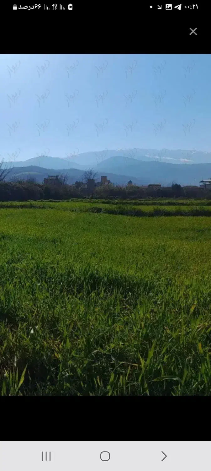 فروش زمین کشاورزی|فروش زمین و ملک کلنگی|سرخنکلاته, |دیوار