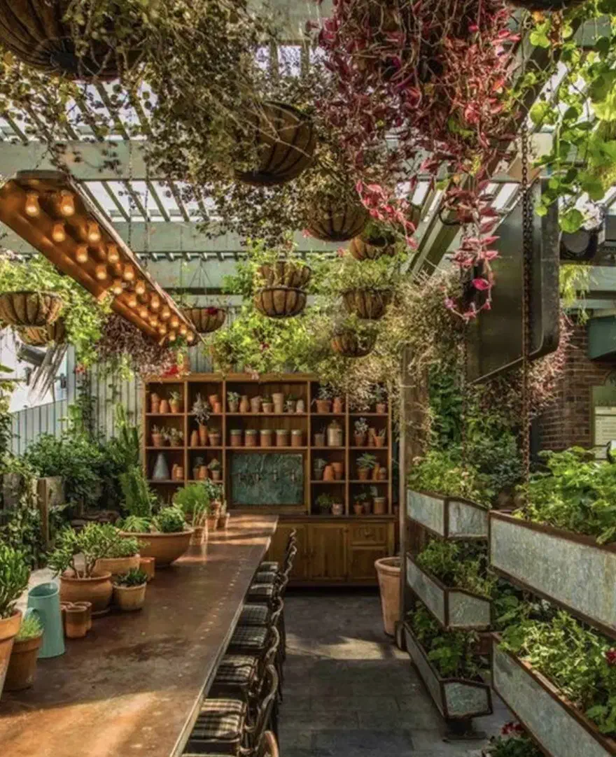 جذب سرمایه گذار|خدمات مالی، حسابداری، بیمه|رشت, منظریه|دیوار