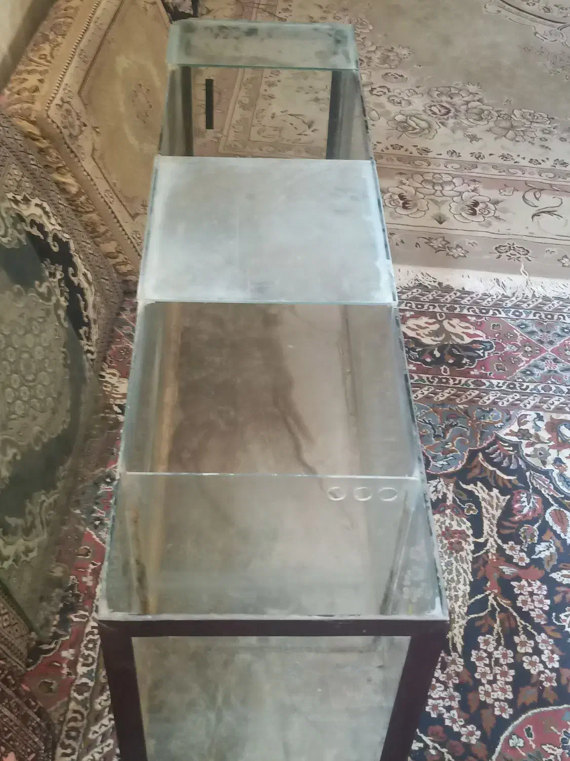 اکواریوم|ماهی|همدان, |دیوار