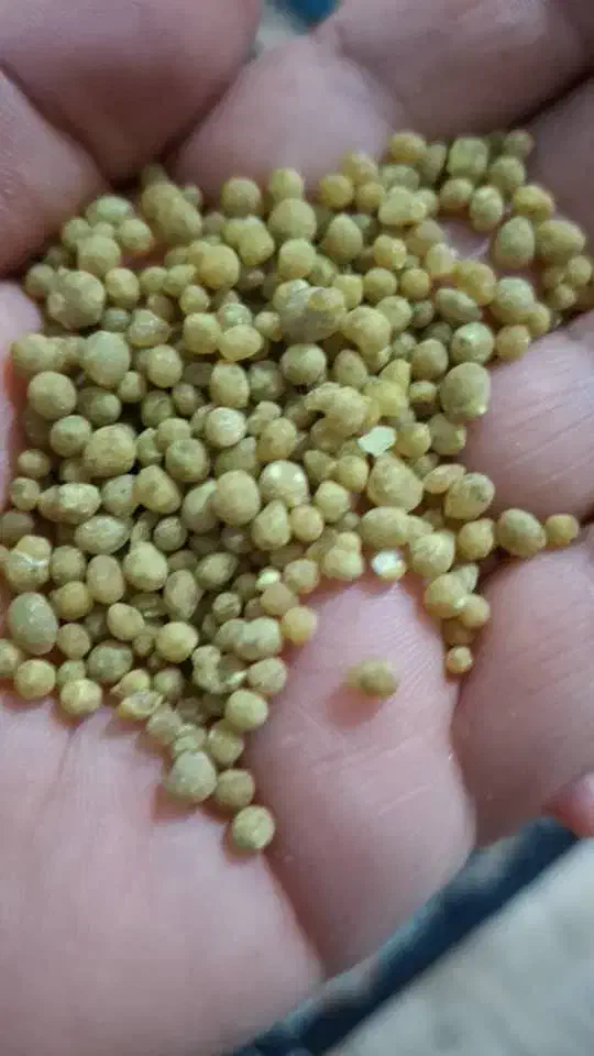 کود دی امونیوم فسفات|خدمات باغبانی و درختکاری|بم, |دیوار