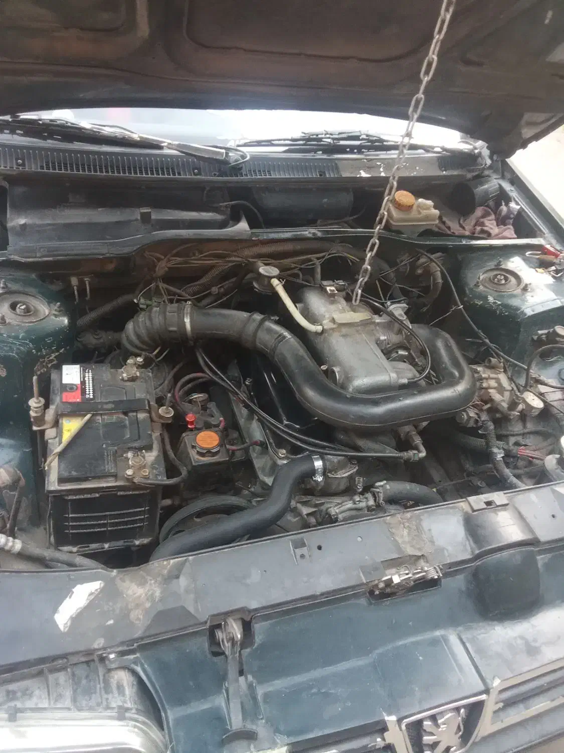 پژو اردی|خودرو سواری و وانت|تربت‌حیدریه, ترمینال|دیوار