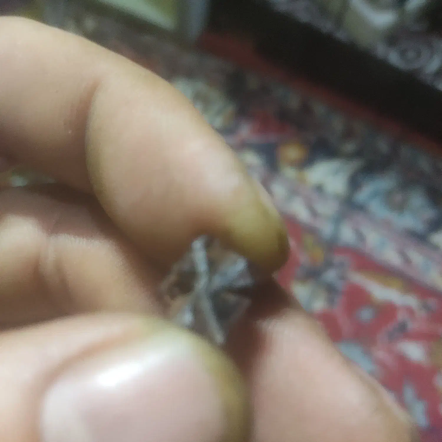 سنگ های قیمتی|کلکسیون اشیاء عتیقه|اندیشه, اندیشه فاز ۱|دیوار