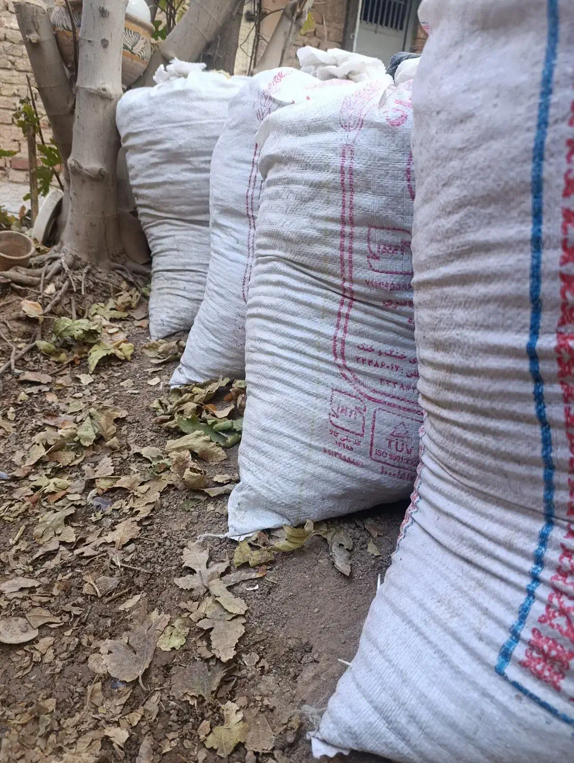 چند عدد گونی کود|گل و گیاه طبیعی|کرمان, |دیوار