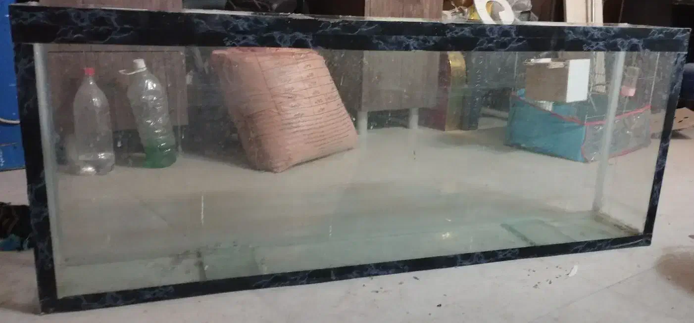 آکواریوم|ماهی|تربت جام, کلالی|دیوار