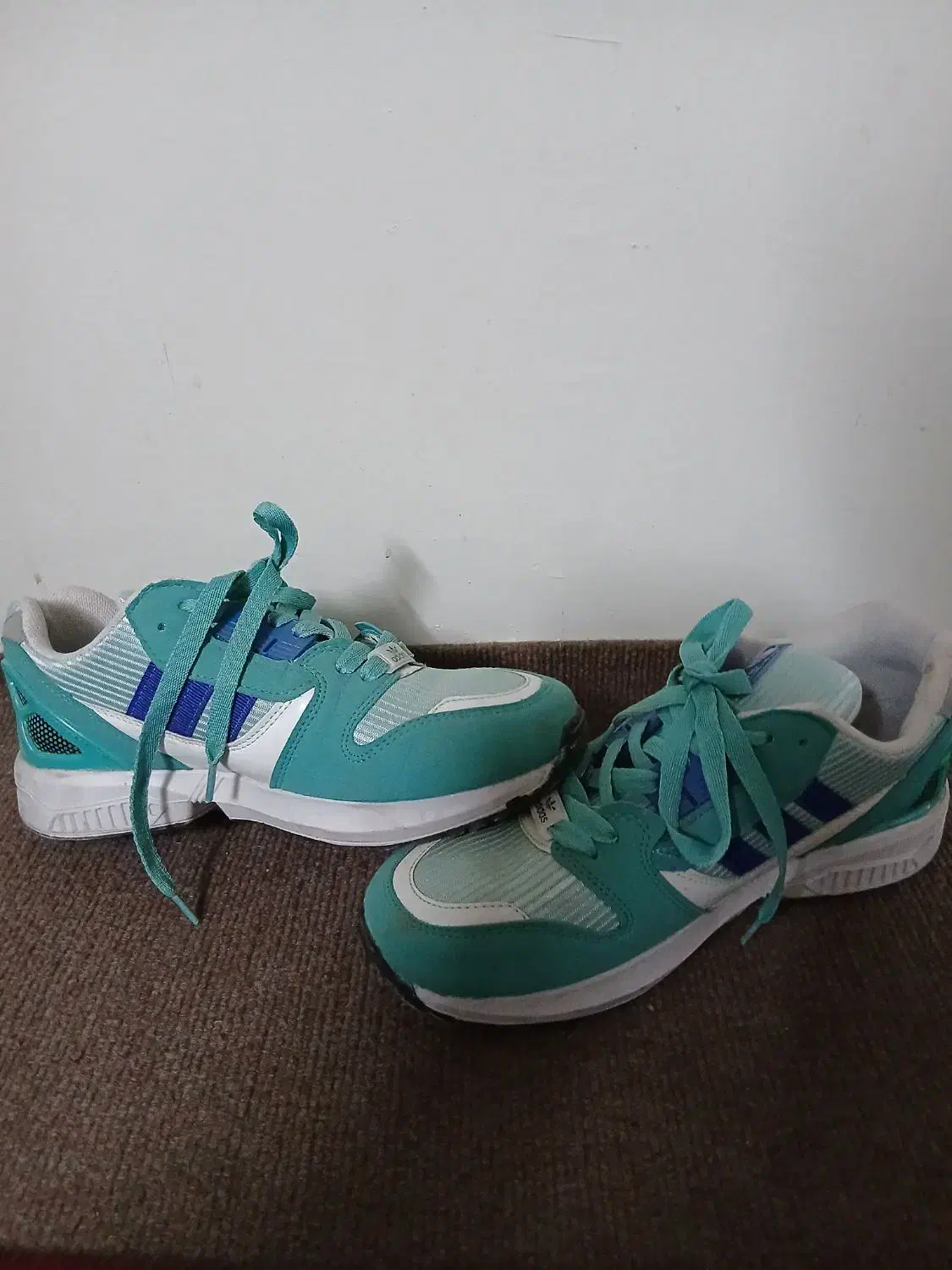 کفش|کیف، کفش، کمربند|اصفهان, باغ دریاچه|دیوار