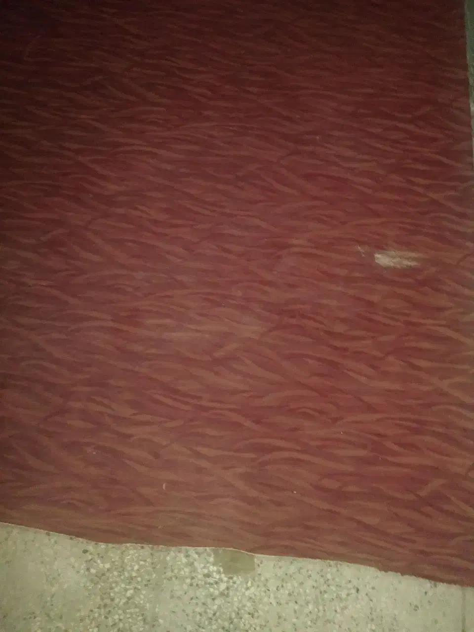 موکت خارجی کناره|موکت|مشهد, رضاشهر|دیوار