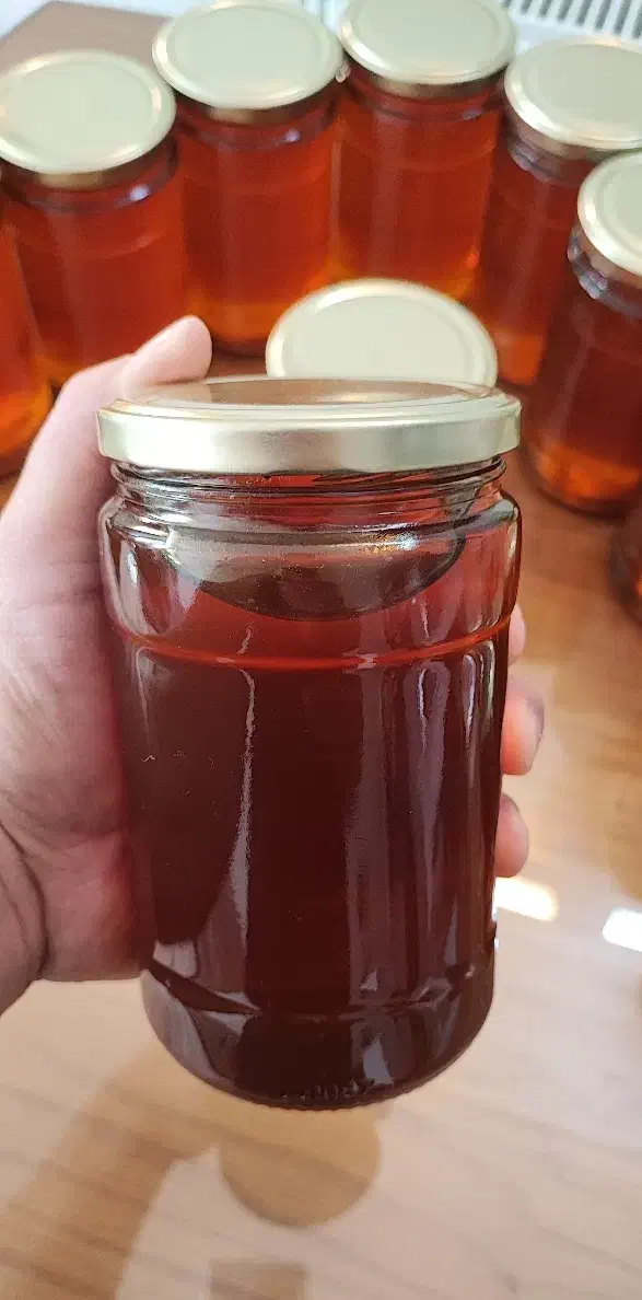 عسل طبیعی طالقان|خوردنی و آشامیدنی|هشتگرد, مدرس|دیوار