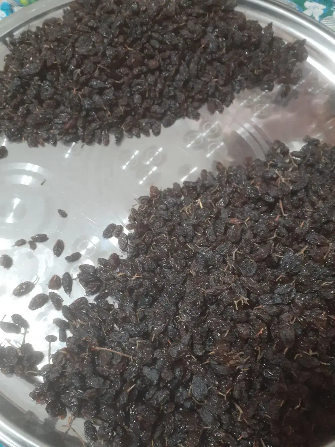 فاخری|خوردنی و آشامیدنی|ملکان, |دیوار