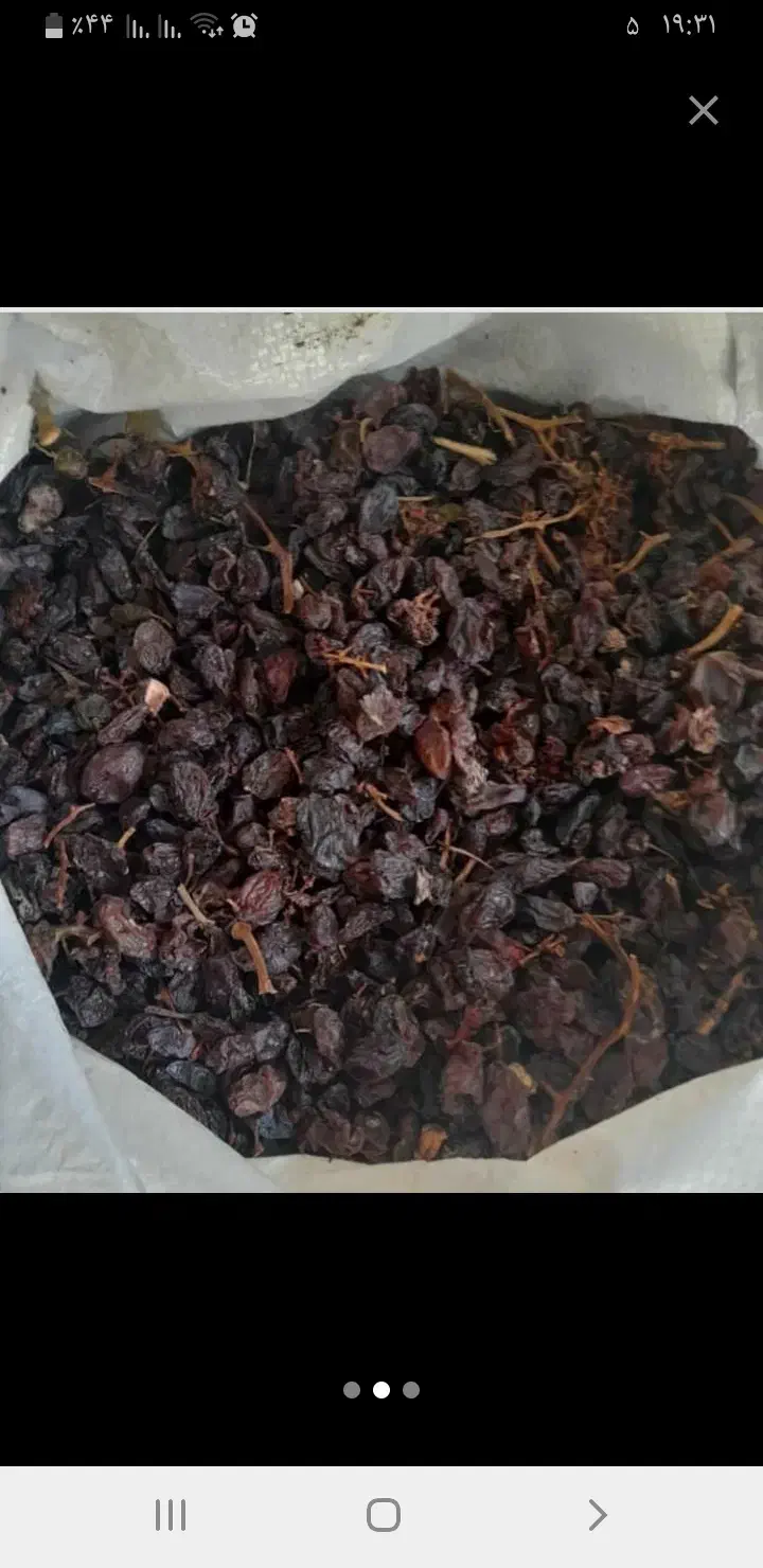 کشمش افتابی|خوردنی و آشامیدنی|ساوه, |دیوار