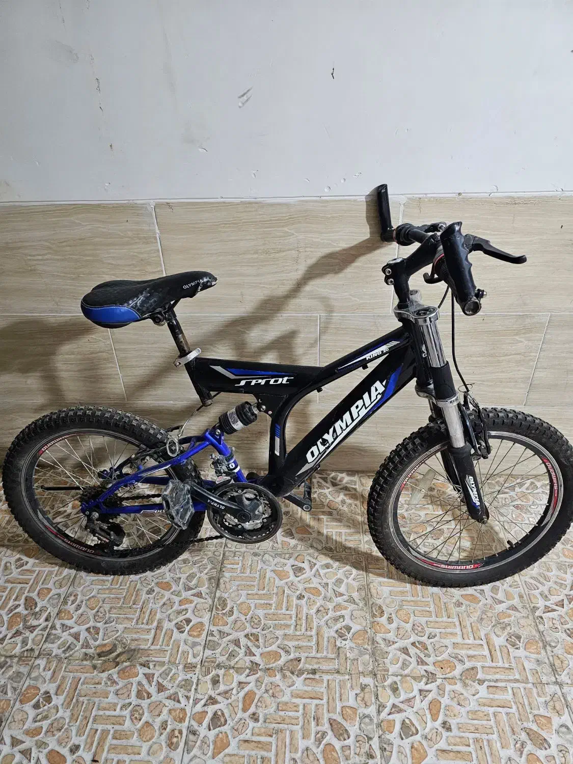 دوچرخه شماره ۲۰و تعدادی ق ن ا ر ی|دوچرخه، اسکیت، اسکوتر|حمیدیا, |دیوار