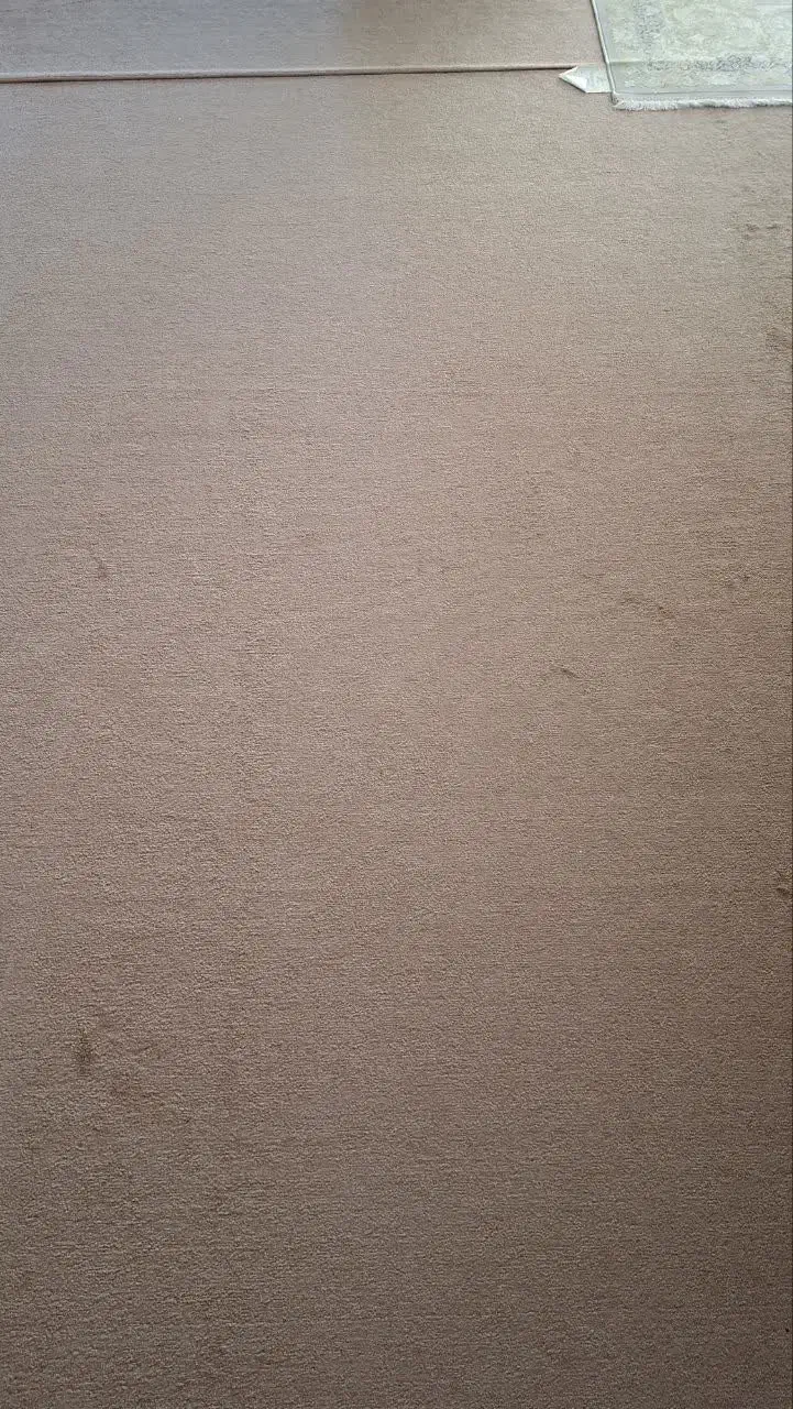 فروش موکت پالاز پرزدار دست دوم|موکت|نجف‌آباد, قلعه سفید|دیوار