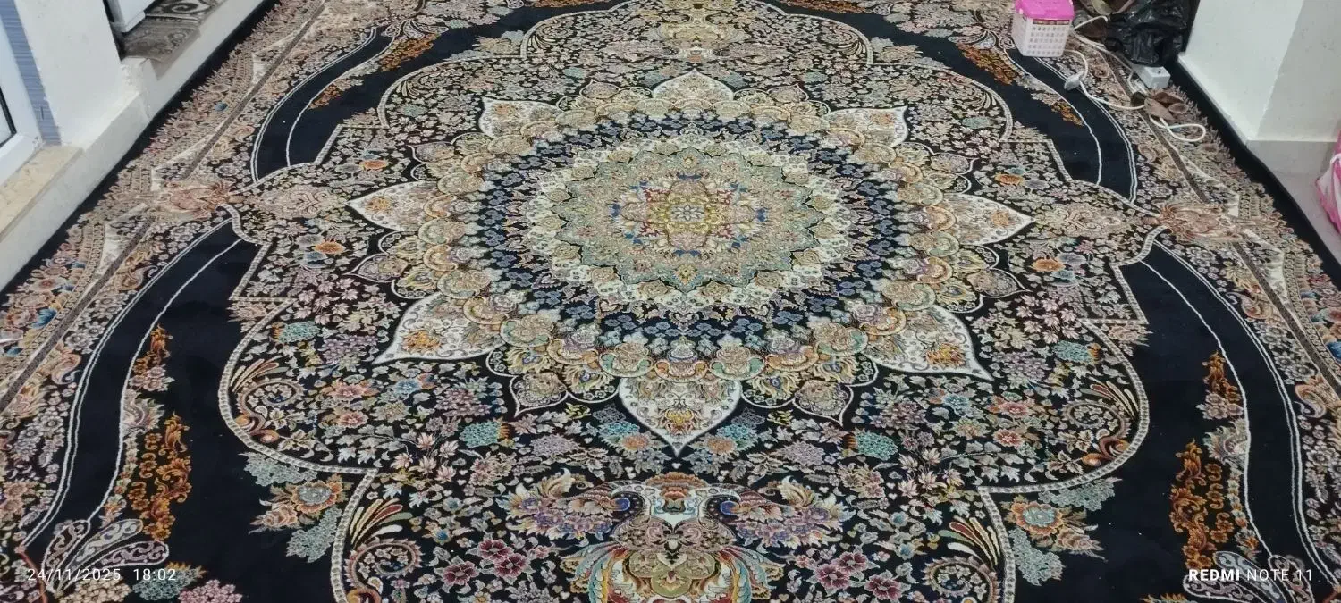 فرش نگین مشهد|فرش|بندرعباس, |دیوار