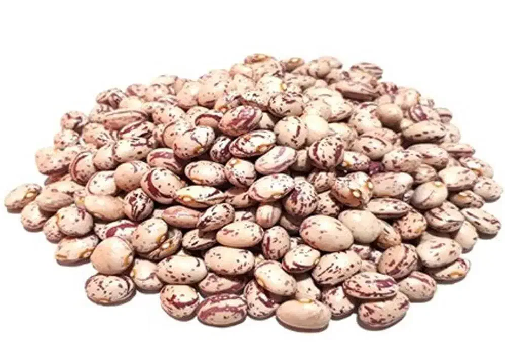 لوبیا چیتی و تخمه کدو سیب زمینی هم موجود می باشد.|خوردنی و آشامیدنی|سده (فارس), |دیوار