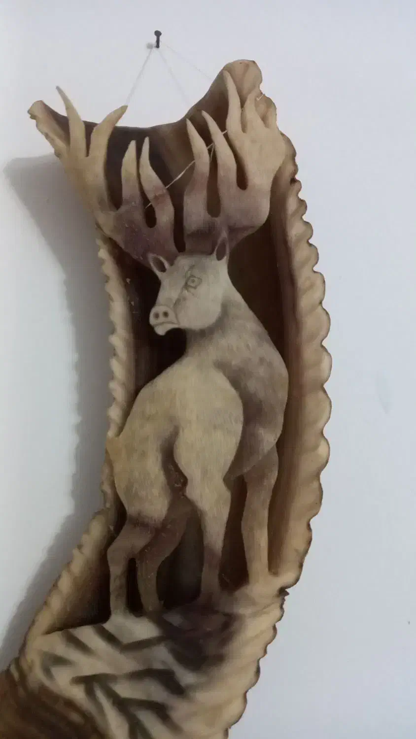 شاخ قوچ|کلکسیون اشیاء عتیقه|اراک, |دیوار