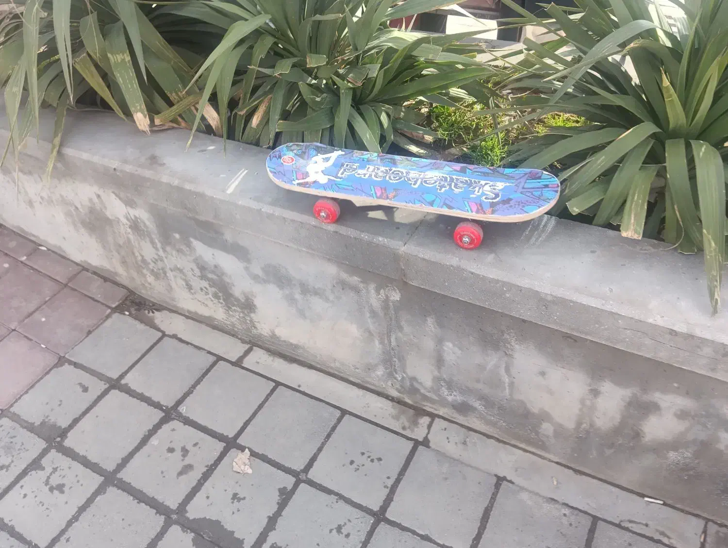 اسکیت برد|دوچرخه، اسکیت، اسکوتر|تبریز, |دیوار