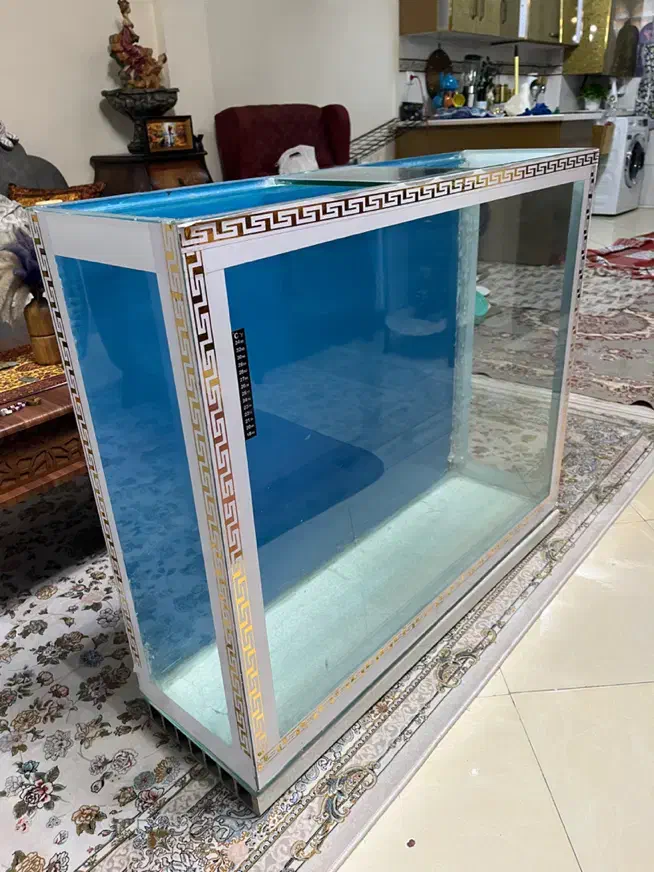 آکواریوم|ماهی|تهران, مشیریه|دیوار