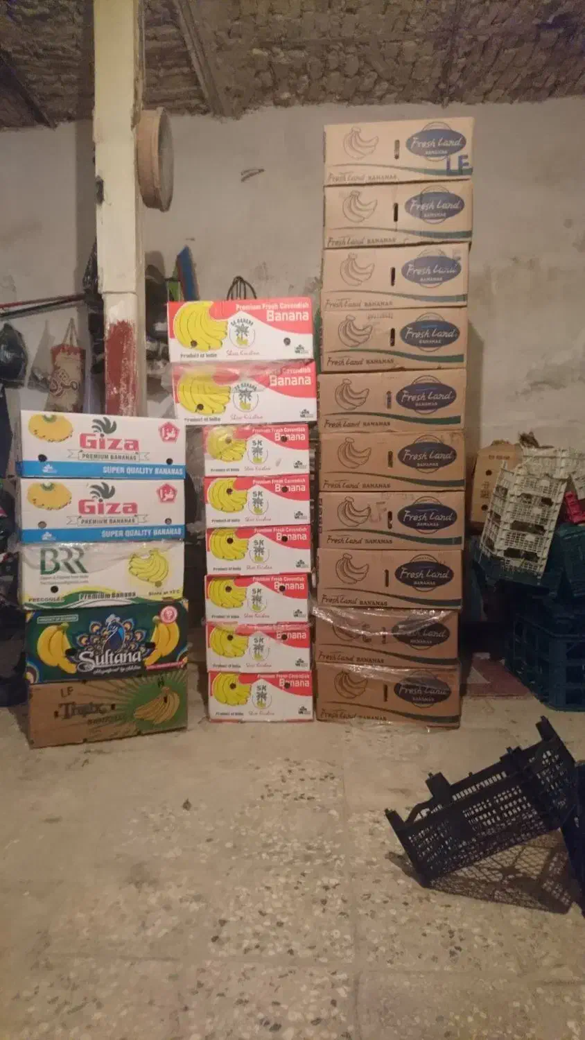 کارتن موز|حراج|قم, ولیعصر|دیوار