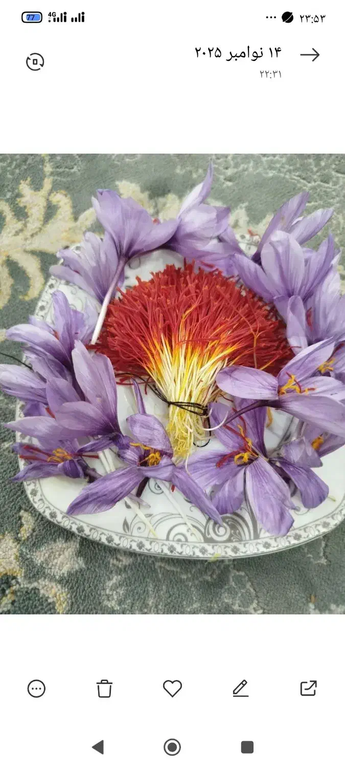 گرانترین ادویه دنیا|خوردنی و آشامیدنی|دیلم, |دیوار