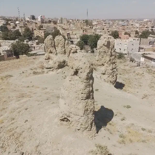 راهنمایی وکمک برای خرید|فعالیت داوطلبانه|تبریز, |دیوار