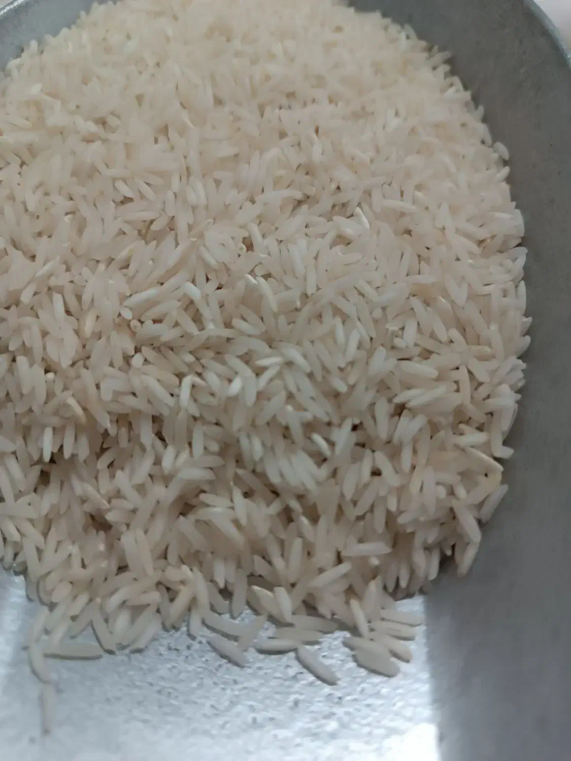 برنج شیرودی|خوردنی و آشامیدنی|سنگر, |دیوار