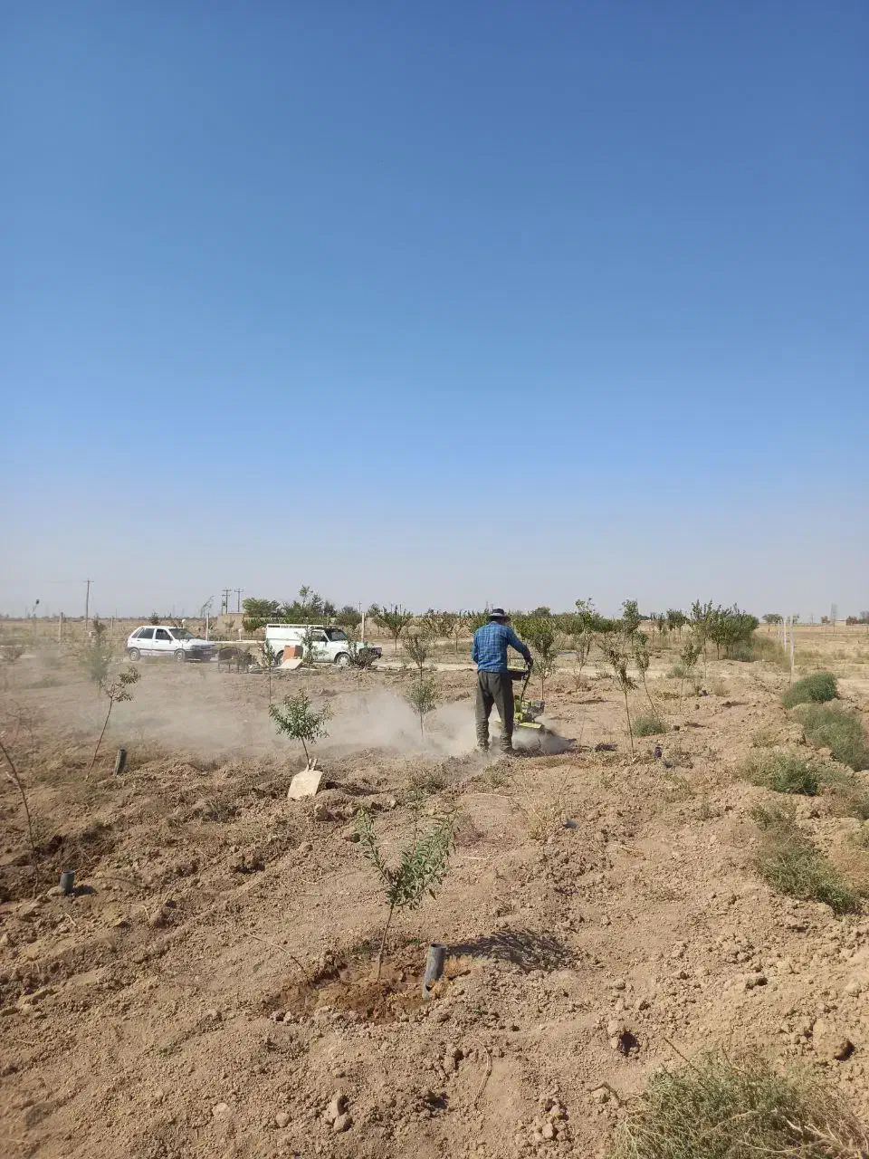 فوریباغبادرخت،ابیاریقطره ای|فروش دفتر صنعتی، کشاورزی، تجاری|اراک, |دیوار