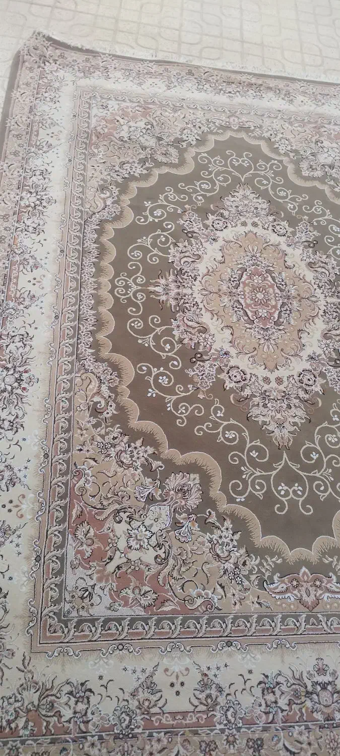 قالی ۹متری|فرش|شهرضا, |دیوار