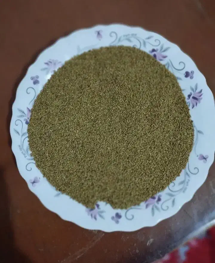 بزر یونجه|عمدهفروشی|کنگاور, |دیوار