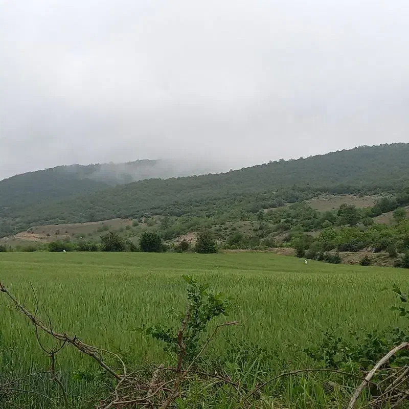 در بهشت روی زمین خانه بسازید .|فروش زمین و ملک کلنگی|گلوگاه, |دیوار